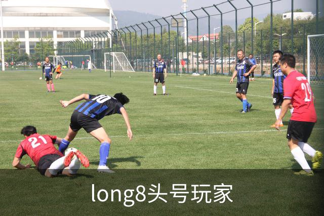 关于long8头号玩家展示图